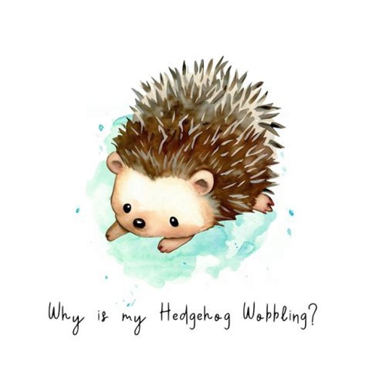 Why is my hedgehog wobbly?