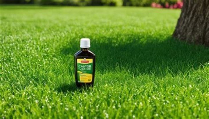 Will orange oil kill my grass?