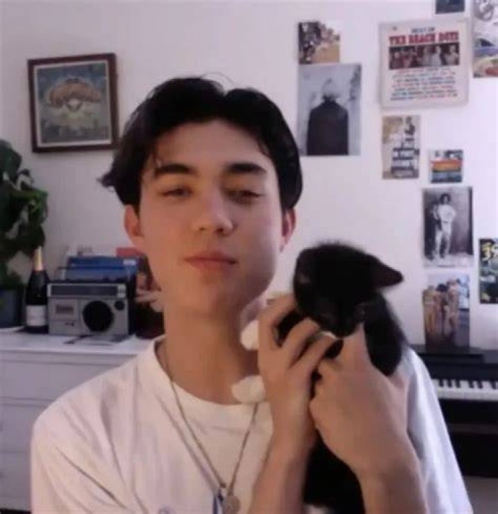 William Gao Pets